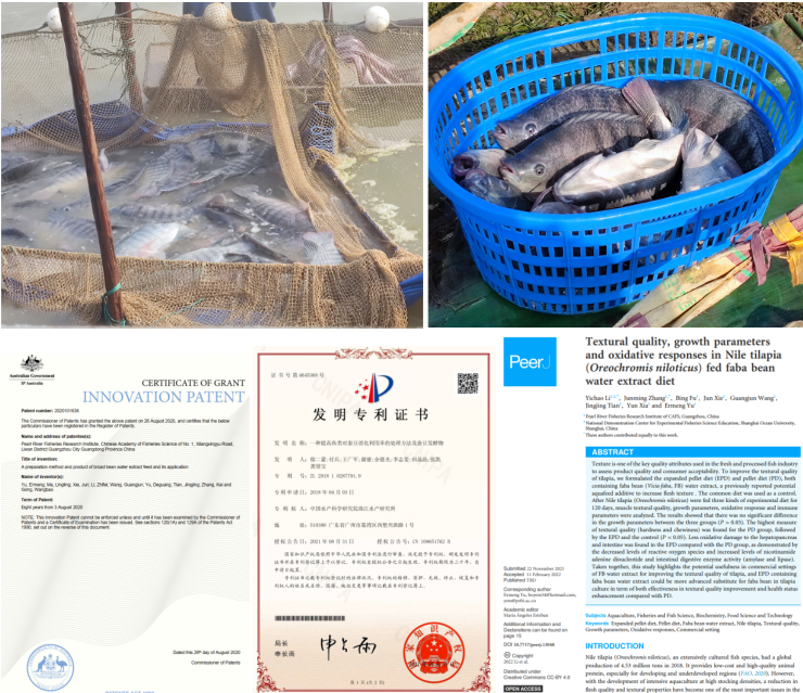 8E10523BD11463AFD50B41F1E62_6F8CF2B1_E513B.png 8E10523BD11463AFD50B41F1E62_6F8CF2B1_E513B.png