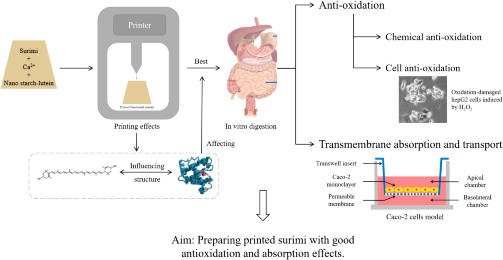 f85abfc1133cd089e433a81b1f74f2cd_1-s2.0-S0963996924007610-ga1_lrg.jpg 上海腾拔质构仪助力宁波大学在Food Research International发表论文
