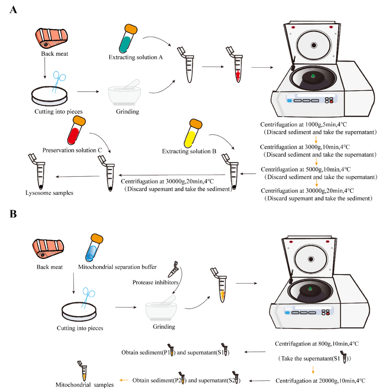 image.png 上海腾拔质构仪助力石河子大学在Food Chemistry发表最新研究成果