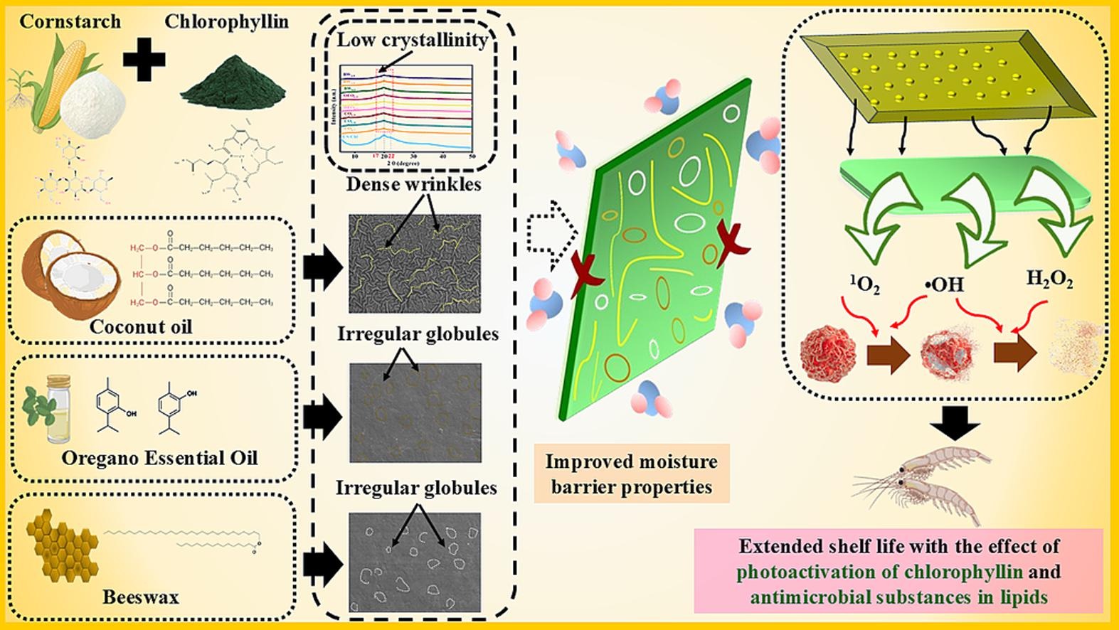 上海腾拔质构仪助力南京工业大学在Food Research International发文
