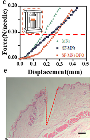 image.png 上海腾拔质构仪再次助力苏州大学发表关于微针的国际期刊论文
