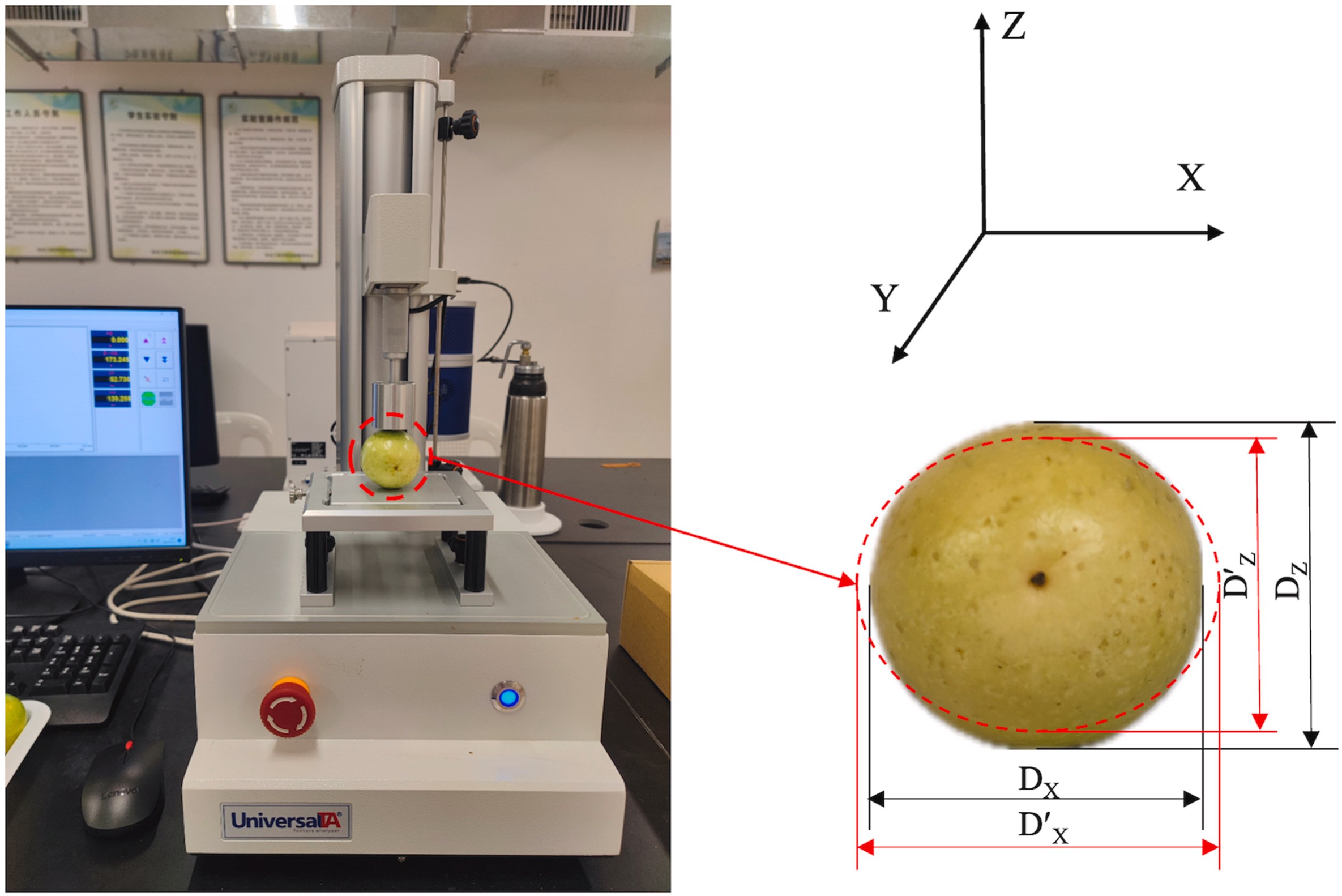 上海腾拔质构仪助力福建农林大学发表关于百香果的国际期刊论文
